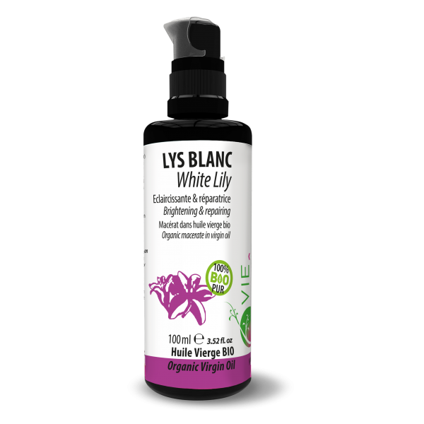 MACERAT LYS BLANC / TOURNESOL France **