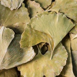 GINKGO BILOBA* BIO Feuille 40 g