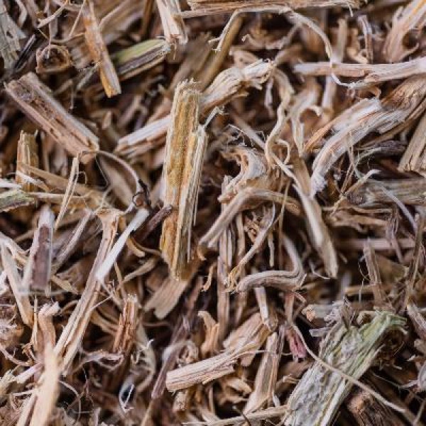 Ortie* Racines Bio 50 g