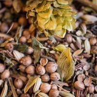 TISANE INFUSETTES ALLAITEMENT* BIO