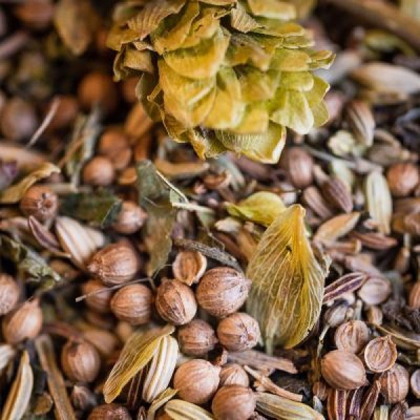 Tisane Bio ALLAITEMENT* 