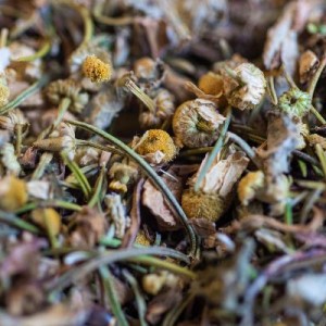 Tisane Bio DRAINANTE DU FOIE *