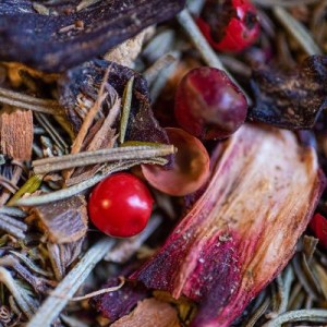 Tisane Bio VITALITE* 60 g