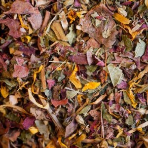 Tisane Bio CIRCULATION *